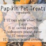 pumpkin treat recipe